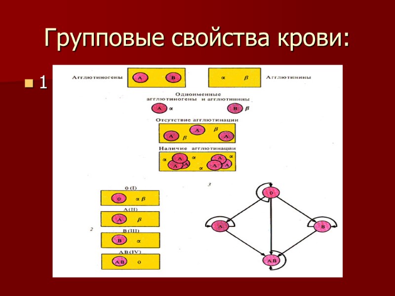 Групповые свойства крови: 1